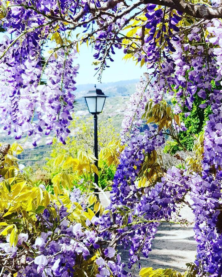 Quinta Do Cabouco Hotel ริเบรา บราวา ภายนอก รูปภาพ