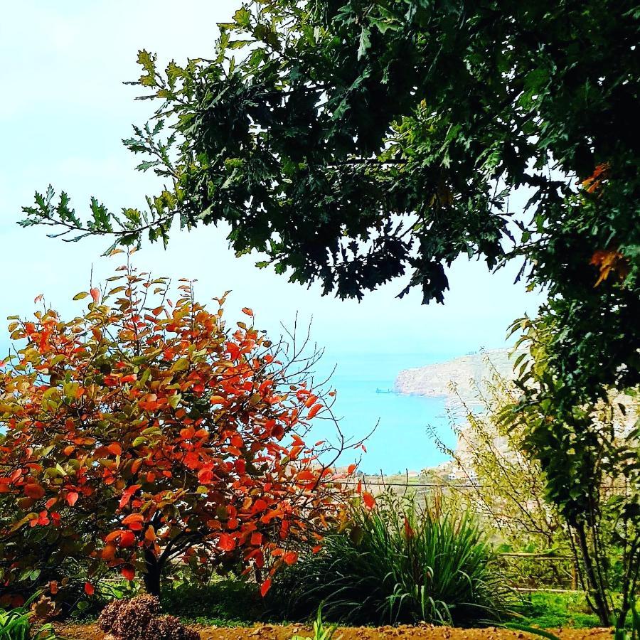 Quinta Do Cabouco Hotel ริเบรา บราวา ภายนอก รูปภาพ
